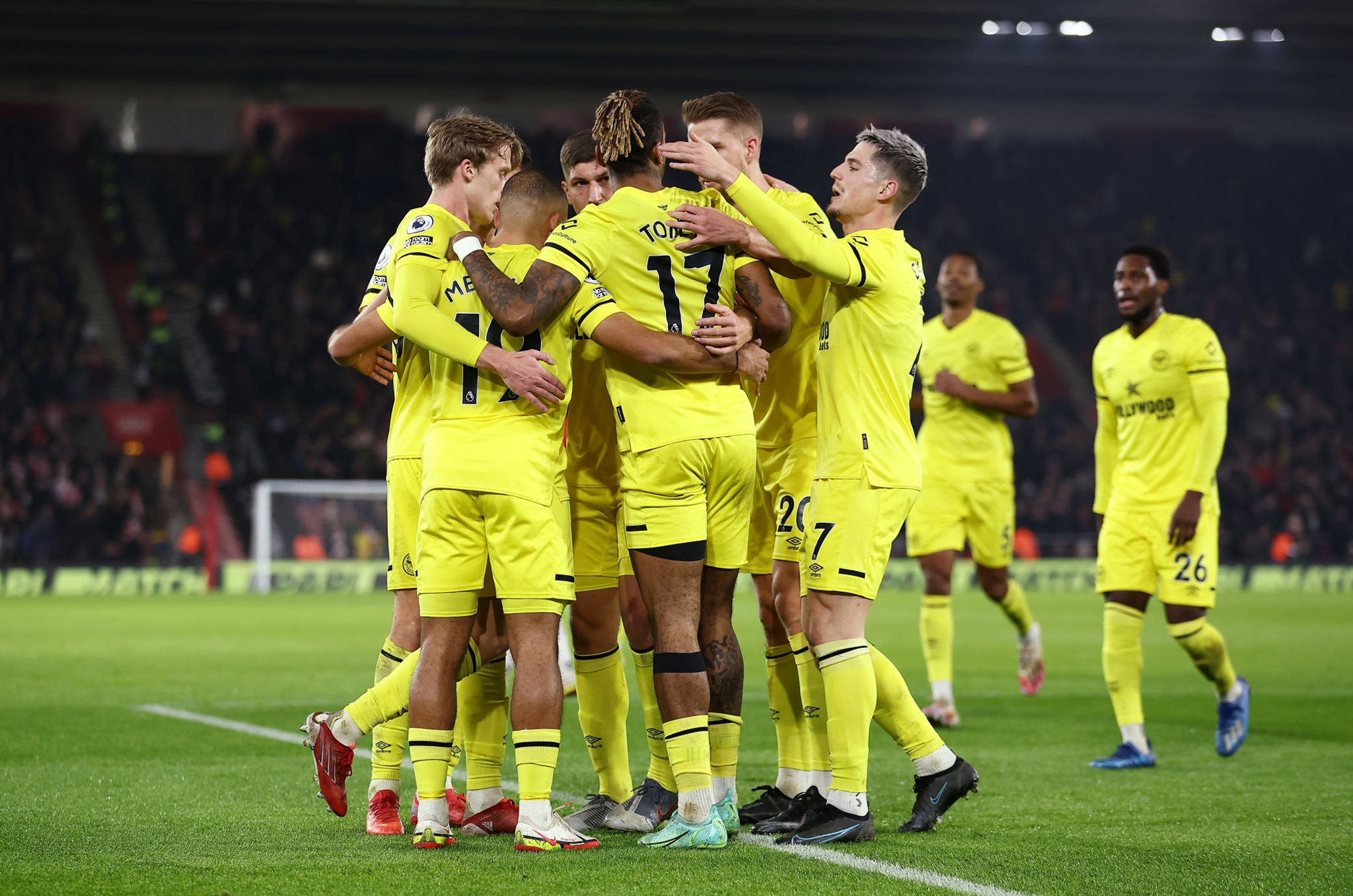 班牙黄潜梯 班牙黄潜梯